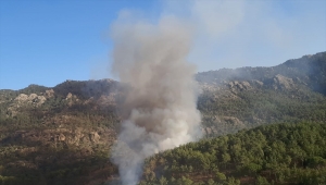 Milas'ta çıkan orman yangınına müdahale ediliyor