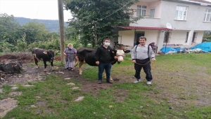 Ordu'da hizmet veren hayvan oteli, üreticilerin imdadına yetişiyor