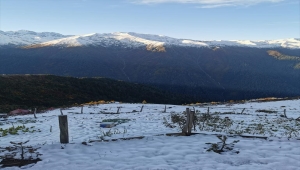 Rize'de yaylacılar, karın ardından köylere dönüş hazırlığına başlarken Meteoroloji "sarı" uyarı verdi