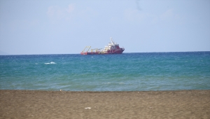  Samandağ sahilinde petrole bulanmış ölü deniz kaplumbağası bulundu