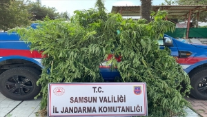 Samsun'da uyuşturucu operasyonlarında 17 şüpheli yakalandı