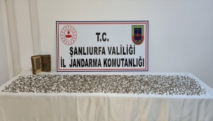 Şanlıurfa'da çeşitli dönemlere ait 8 bin sikke ve dini kitap bulundu