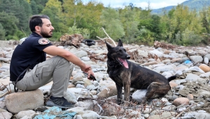 Sel felaketinin 22'nci gününde Ayancık'ın Babaçay köyünde arama çalışmaları sürüyor