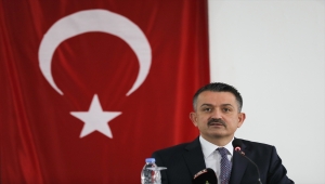 Tarım ve Orman Bakanı Pakdemirli İklim Değişikliği ve Tarım Çalıştayı'nda konuştu: