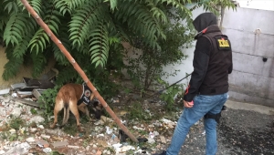 Tekirdağ'da "Gün Aydı" adı verilen asayiş operasyonunda 12 şüpheli yakalandı