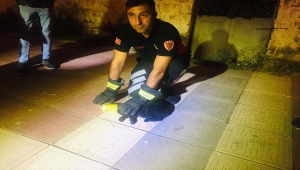 Tokat'ta kafası konserve kutusuna sıkışan kediyi itfaiye ekipleri kurtardı