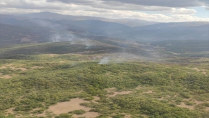 Tunceli'nin Ovacık ilçesindeki örtü yangını kontrol altına alındı