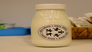 Türk Böbrek Vakfı Başkanı Erk, Tekirdağ'da "okul gıdası logosu"nu anlattı: