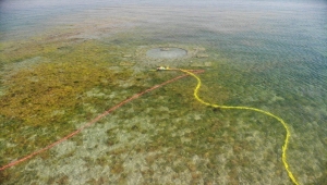 Yalova'daki su altı kazıları tarihe ışık tutacak