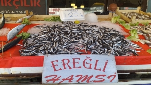 Zonguldak'ta balıkçılar Karadeniz hamsisinden umutlu