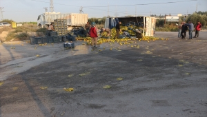 Adana'da iki kamyonun çarpışması sonucu 3 kişi yaralandı