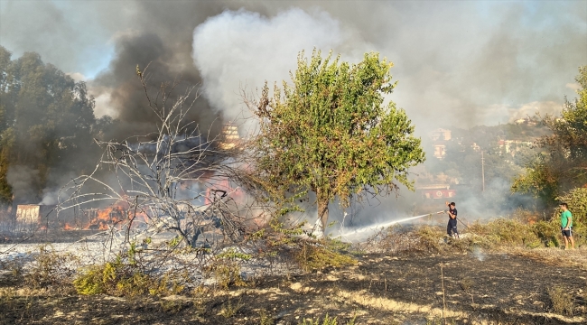 Antalya'da çıkan yangında bir ahır ve konteyner yandı