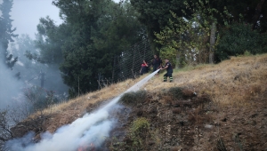 Aydın'da mesire alanında çıkan yangın söndürüldü