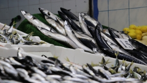 Batı Karadeniz'de balığın azalması fiyatlara yansıdı