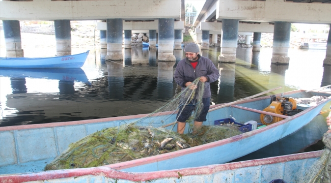 Beyşehirli balıkçılar Çin sazanıyla yurt dışına açıldı