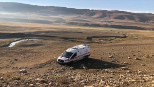 Bingöl'de köpeğe çarpmamak için manevra yapan ambulans şarampole devrildi 