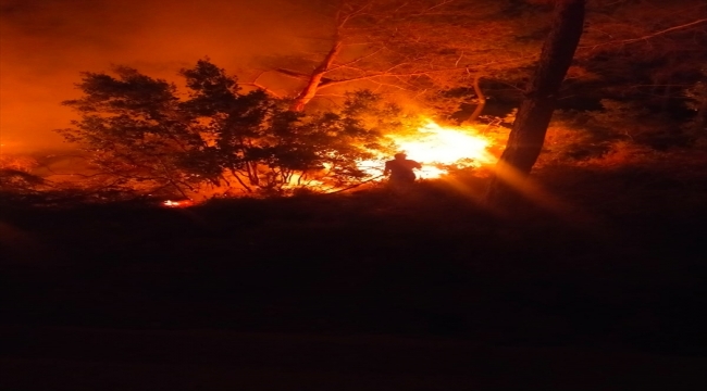 Bodrum'da çıkan orman yangını söndürüldü