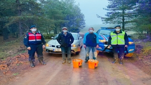 Bolu'da mantar toplamak isterken ormanda kaybolan 2 kişi bulundu