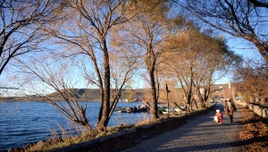 Çıldır Gölü'nde sonbahar renkleri hakim oldu