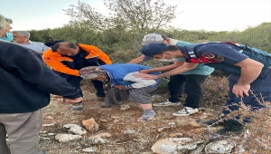 Denizli'de iki gündür aranan kadın ormanda bulundu
