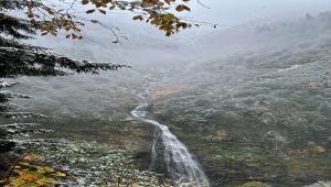 Doğu Karadeniz'in yüksek kesimlerinde kar yağışı etkili oldu