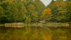 Düzce Kurugöl Tabiat Parkı'nda renk cümbüşü yaşanıyor
