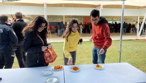 Edirne Karaağaç Festivali'ne son günde de katılımcı sayısı fazla oldu