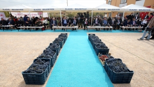 Elazığ'da 15. Geleneksel Orcik ve Bağ Bozumu Festivali yapıldı 