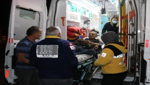 Erzincan'da bahçesinden elma toplamaya giden vatandaşa ayı saldırdı 