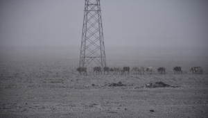 Erzurum ve Kars'ta kar yağışı etkili oldu, Palandöken beyaza büründü