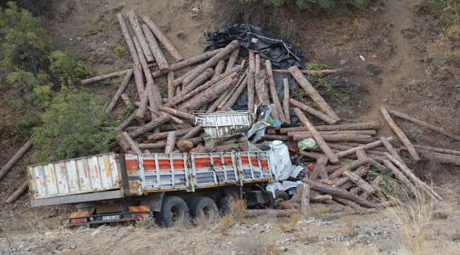 Eskişehir'de dereye düşen tomruk yüklü kamyonun sürücüsü öldü