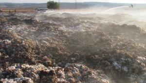 Gaziantep'te tarla yangınında yaklaşık 90 ton pamuk yandı