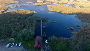 Göçmen kuşların uğrak mekanı Efteni Kuş Cenneti doğaseverlerin de rotasında