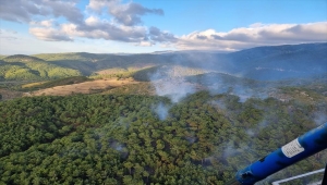 GÜNCELLEME - Balıkesir'in Edremit ilçesinde çıkan orman yangını kontrol altına alındı