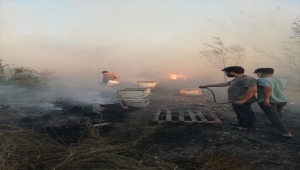 Hatay'da çıkan bahçe yangını kontrol altına alındı