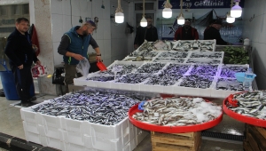 Karadeniz'de tezgahlarda hamsi bolluğu yaşanıyor