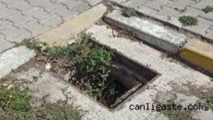 Kayseri'de bisiklet, motor, çiçek derken şimdide kanal kapakları çalınmaya başladı