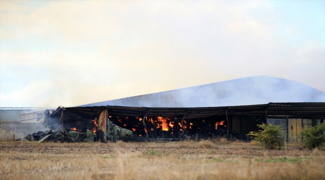 Kırklareli'nde besi çiftliğindeki yangını söndürme çalışmaları sürüyor