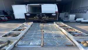 Kocaeli'de balık yüklü panelvan tipi araçta 53 kilogram skunk ele geçirildi