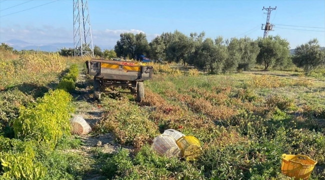 Manisa'da tarlada traktörün çarptığı kadın öldü