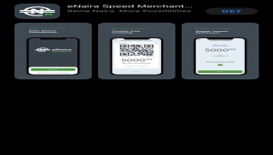 Nijerya'nın dijital para birimi "e-Naira" piyasaya sürüldü