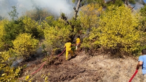 Osmaniye'deki orman yangını kontrol altına alındı