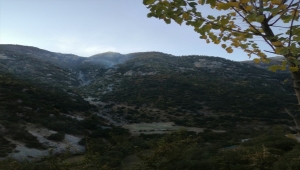 Osmaniye'deki orman yangınına müdahale sürüyor 