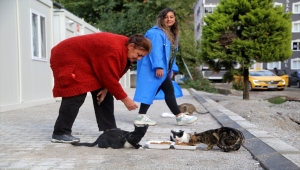 Sel felaketinin yaşandığı Bozkurt'tan sokak hayvanları için ayrılmıyorlar