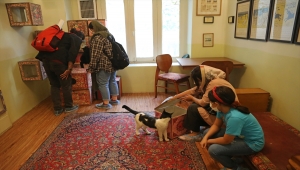 Tahran'daki sıra dışı "Kedi Müzesi" insanların kedilerle bağını güçlendiriyor
