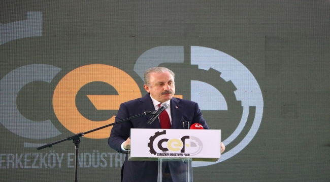 TBMM Başkanı Şentop, Tekirdağ'da fuar açılışında konuştu: (1)
