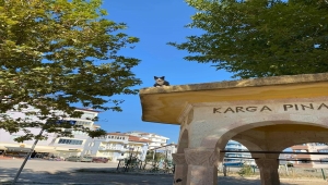 Tokat'ta 3 gündür çatıda mahsur kalan kediyi itfaiye kurtardı