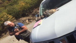 Tunceli'de kaçak keklik avlayan 9 kişiye para cezası kesildi