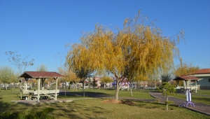 Afyonkarahisar'da parklar sonbahar renklerine büründü