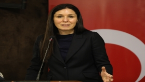 AK Parti'li Karaaslan'dan CHP'ye tezkere eleştirisi: